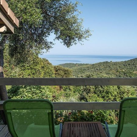 Villa Les Terrasses De Scaglioli Villanova Esterno foto