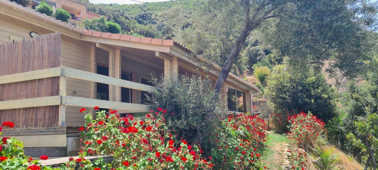Villa Les Terrasses De Scaglioli Villanova Esterno foto