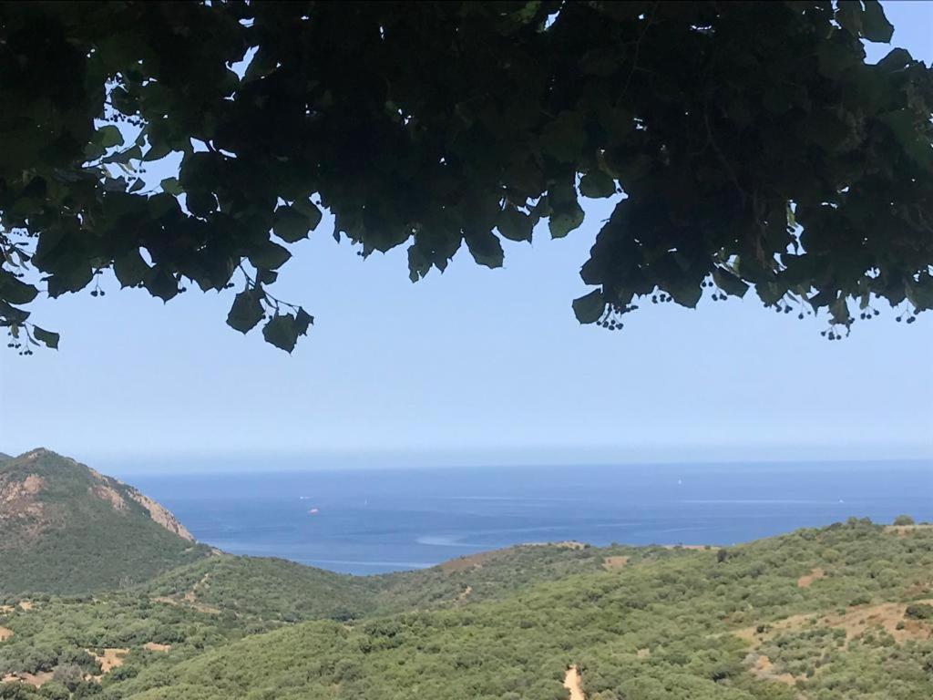 Villa Les Terrasses De Scaglioli Villanova Esterno foto