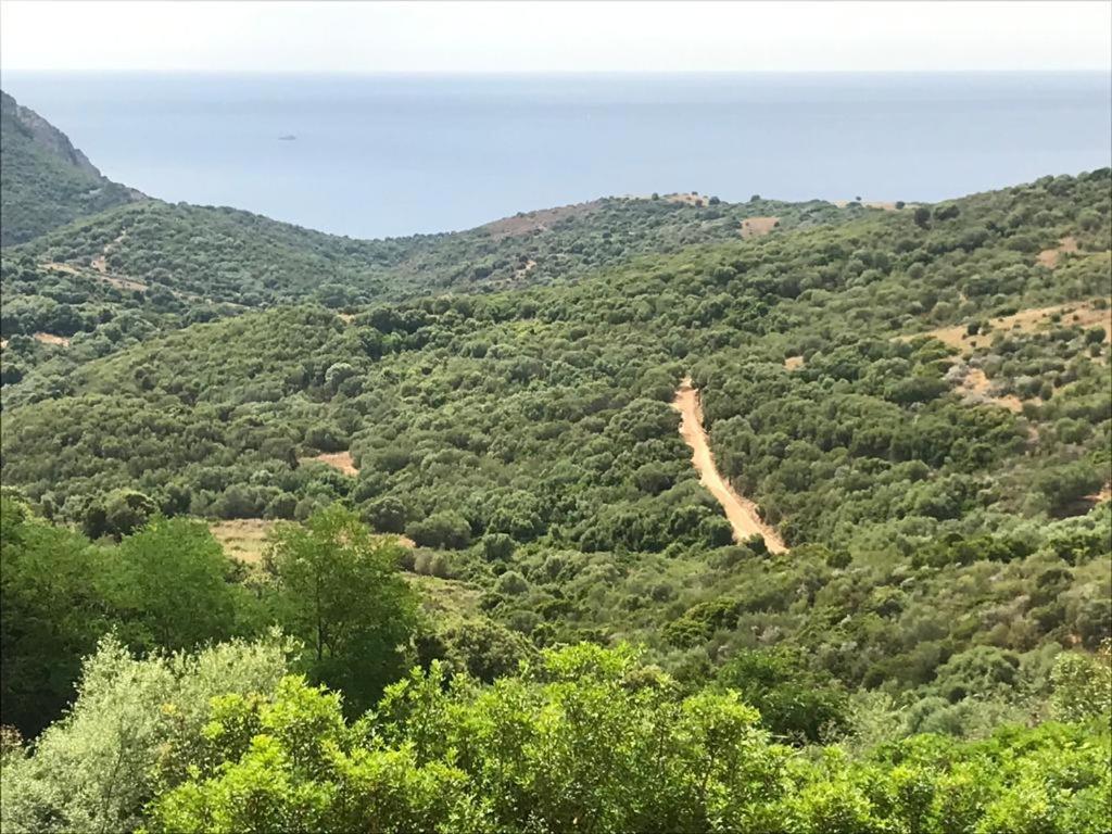 Villa Les Terrasses De Scaglioli Villanova Esterno foto