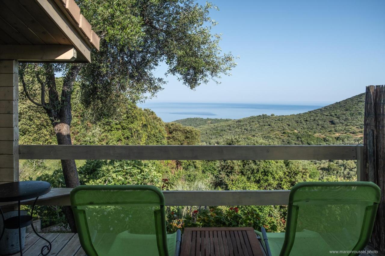 Villa Les Terrasses De Scaglioli Villanova Esterno foto