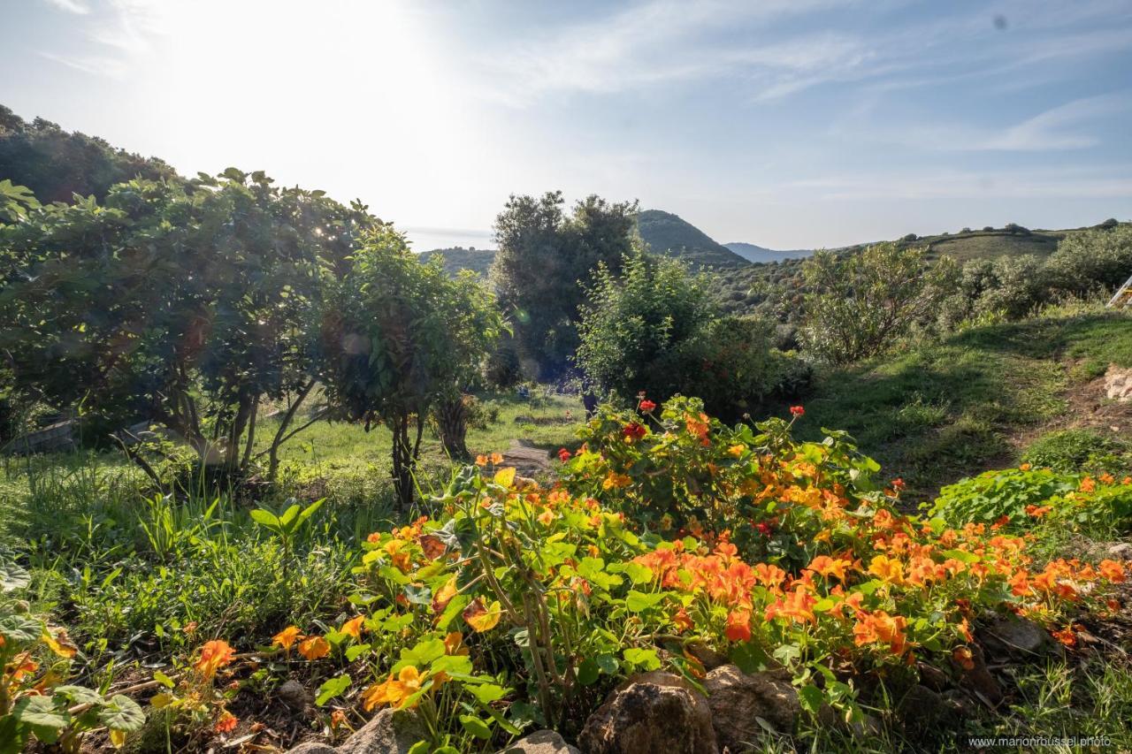 Villa Les Terrasses De Scaglioli Villanova Esterno foto