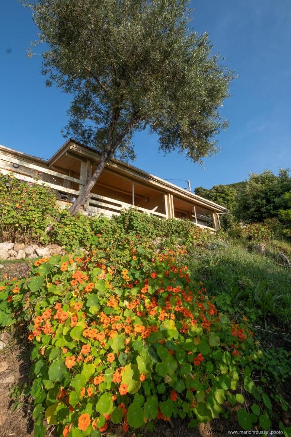 Villa Les Terrasses De Scaglioli Villanova Esterno foto
